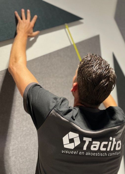 Tacito advies
